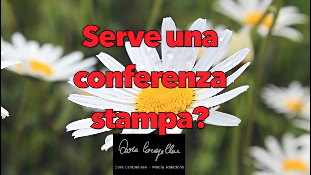 SERVE UNA CONFERENZA STAMPA?