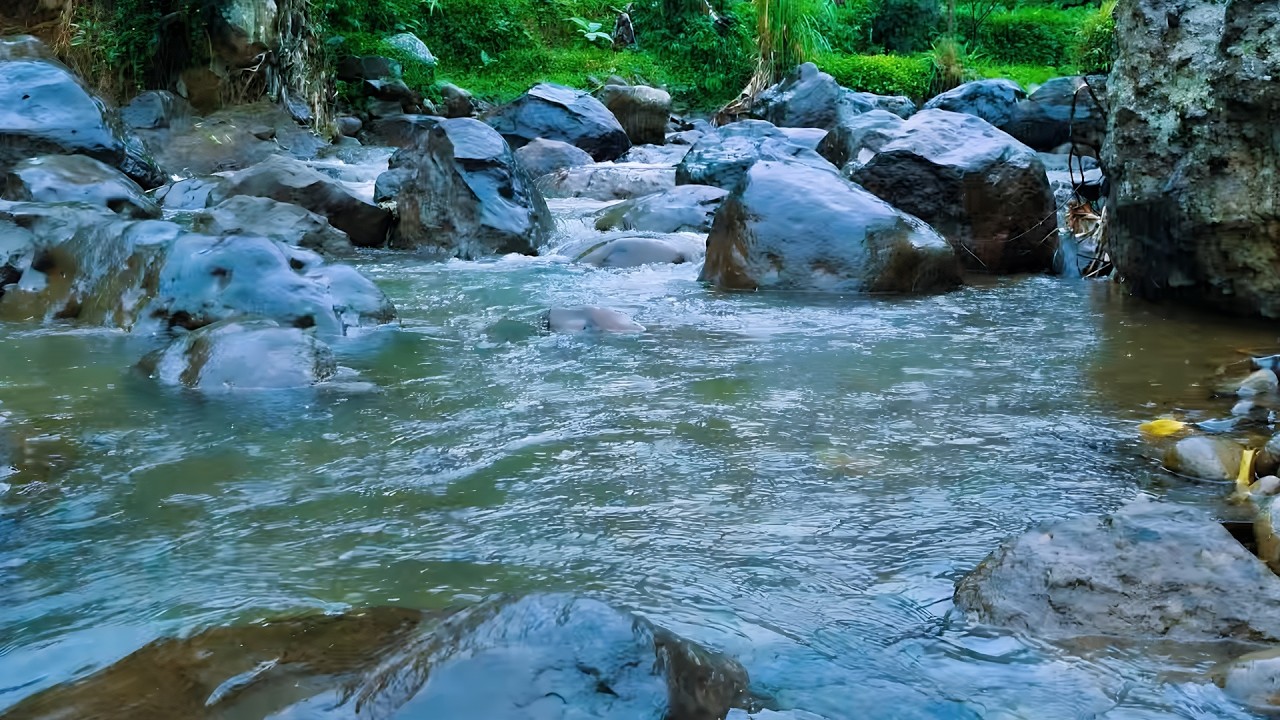 Relaxing River Water Flow and Bird Sounds for Deep Sleep, Study Focus, Meditation & Medicine