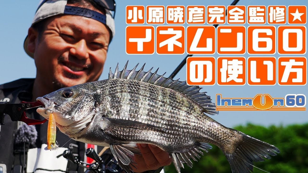 INEMUN 60 ▶ 誰でも簡単に使えるトップウォータープラグが登場！