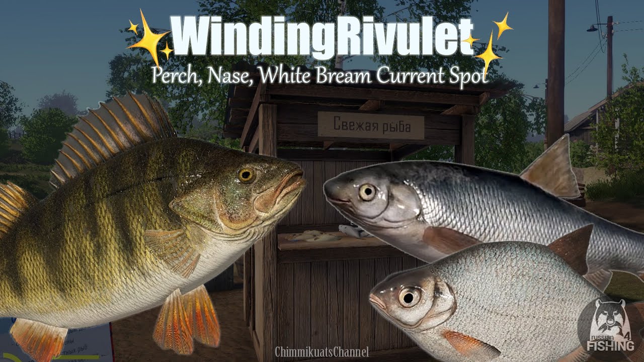 (RussianFishing4) Winding Rivulet Current Spot for Perch, Nase & White Bream