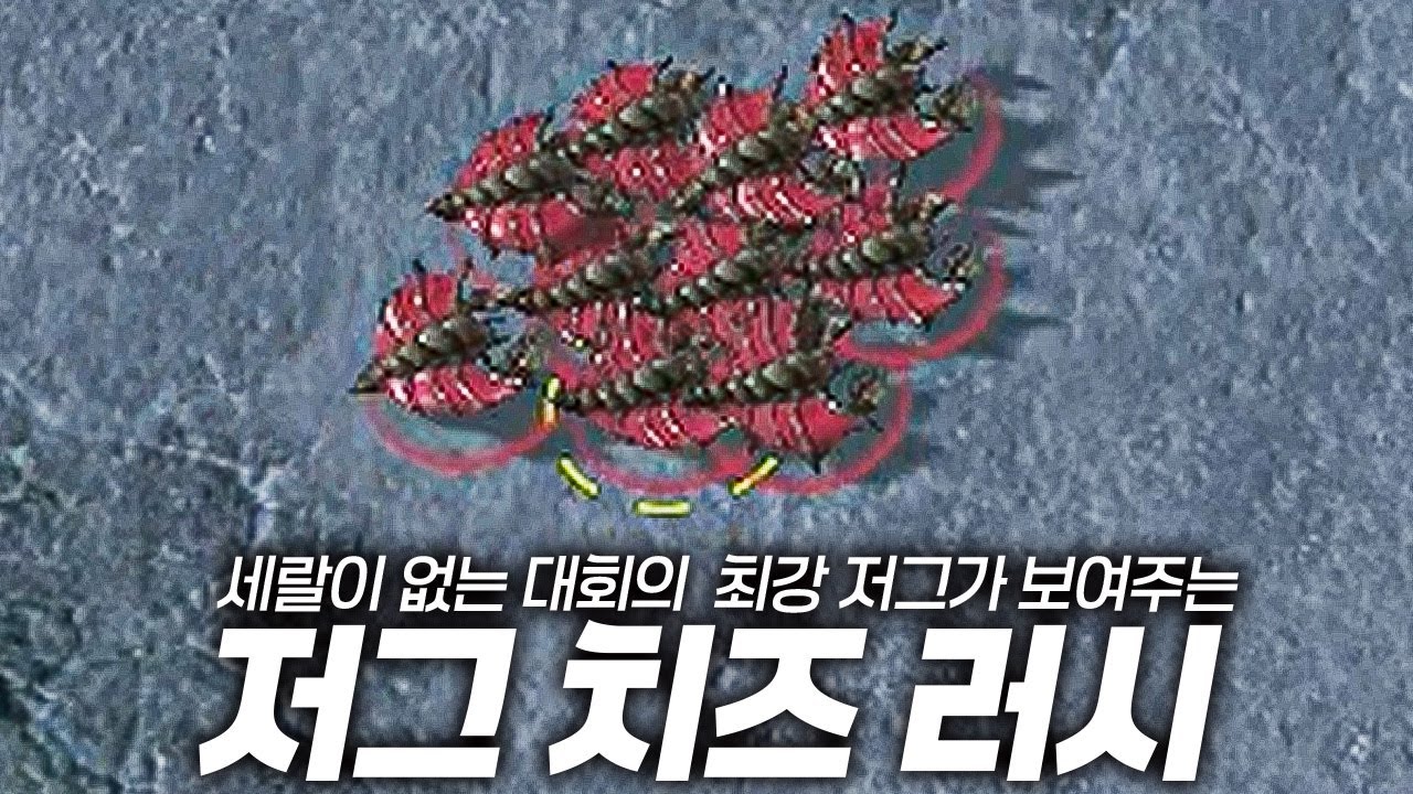 세랄 없는 대회에 저그의 왕