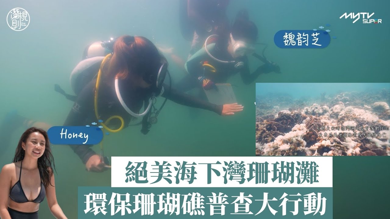 潛．規則 ｜絕美海下灣珊瑚灘｜環保珊瑚礁普查大行動 ｜何泳芍 ｜古天祥｜何泳芍 ｜李君妍 ｜ 葉泓聲｜潛水｜潛規則 ｜myTV SUPER Original｜原創節目｜4Ｋ拍攝｜逢周六更新