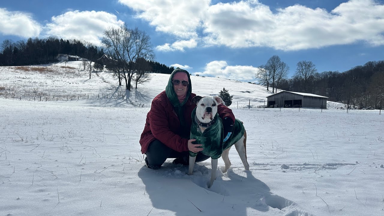 8 Inches of Snow vs. 1 Chaotic White Boxer! | A Winter Snow Montage