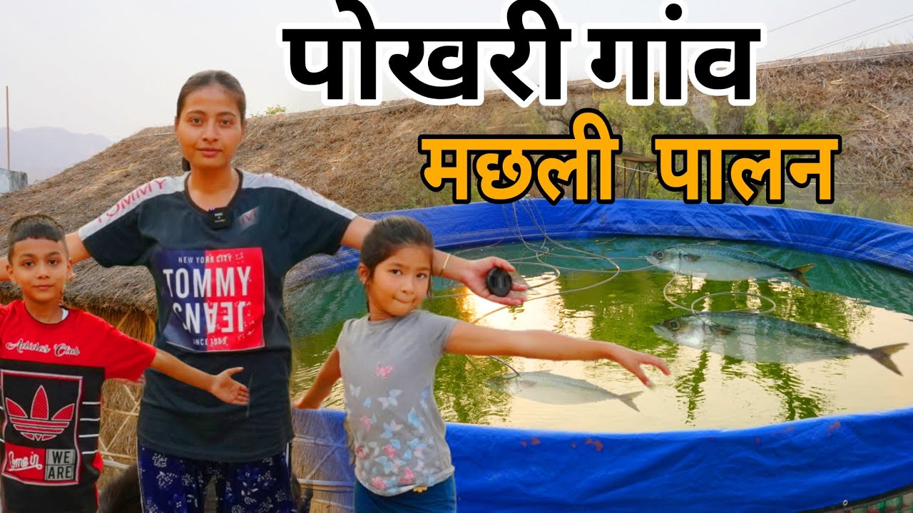 पोखरी गांव में मछली पालन का लघु उद्योग रोजगार  Pokhri gaau me machali paalan ka laghu udyog  rojgaar