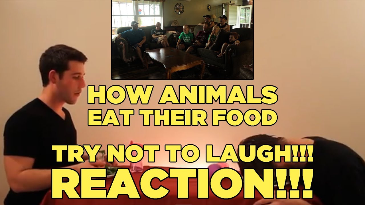 TRY NOT TO LAUGH!!! | How Animals Eat Their Food Reaction (Part 2 & Bloopers Included)