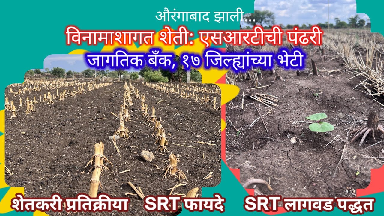 SRT ला जागतिक बँक,१७ जिल्ह्यातील शेतकऱ्यांच्या भेटी#विनामशागत शेती#No Tillage#Conservation Agricul
