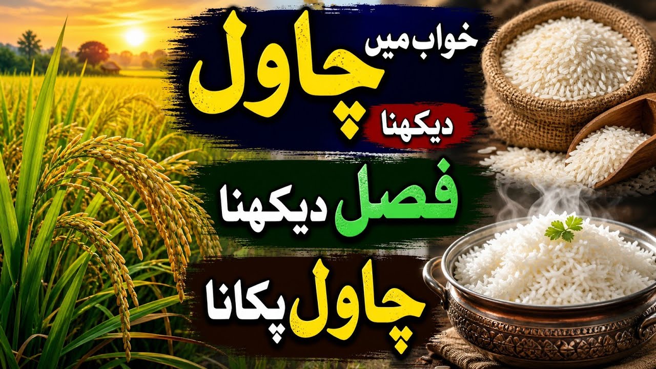 Khwab mein chawal dekhna | khwab mein meethe chawal dekhna | khwabon ki tabeer