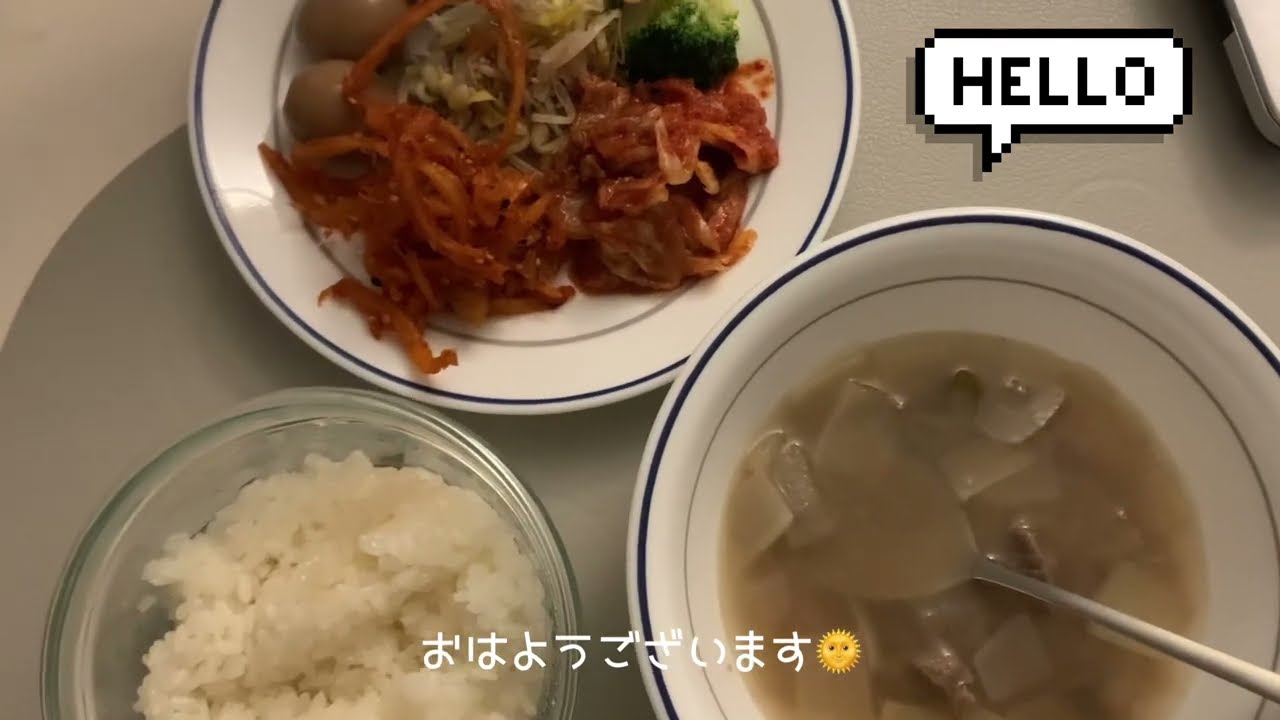 家から出ない日|風邪気味で体調良くない|一人暮らし独身女のVLOG