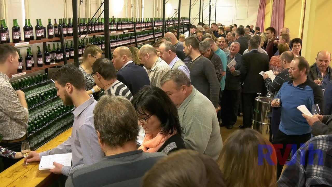 Výstava vín ve Velkých Němčicích každoročně přivítá až 600 návštěvníků!