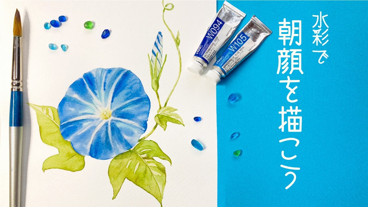 朝顔の描き方【簡単な水彩画】子供でも描けるペン画から水彩画まで3ステップ✾How to draw morning glories