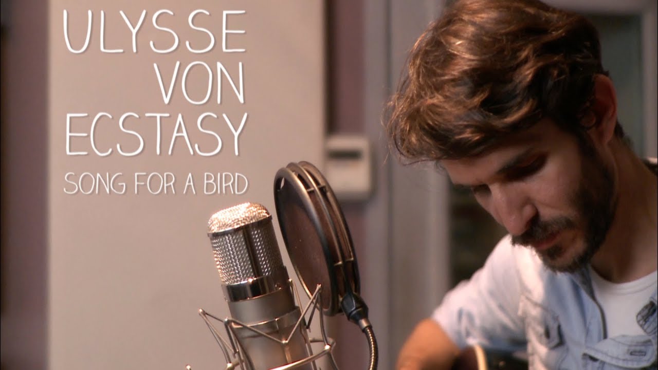 WINDOW Window Session #10 - ULYSSE VON ECSTASY - 