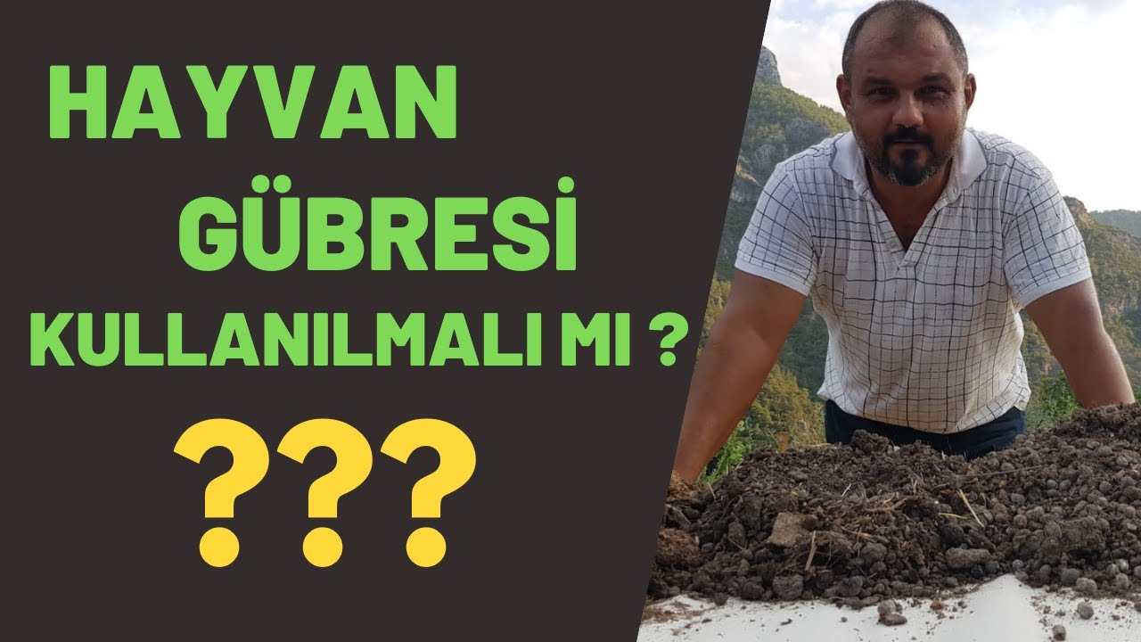 HAYVAN GÜBRESİ Kullanılmalı mı ? Faydaları nelerdir ?#keçigübresi #organikmadde #hayvangübresi