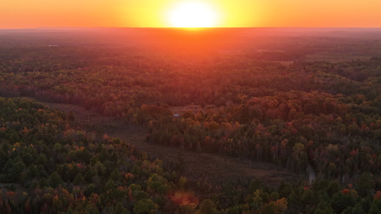 DJI Air 3S - Moose Video Edited in DJI Studio