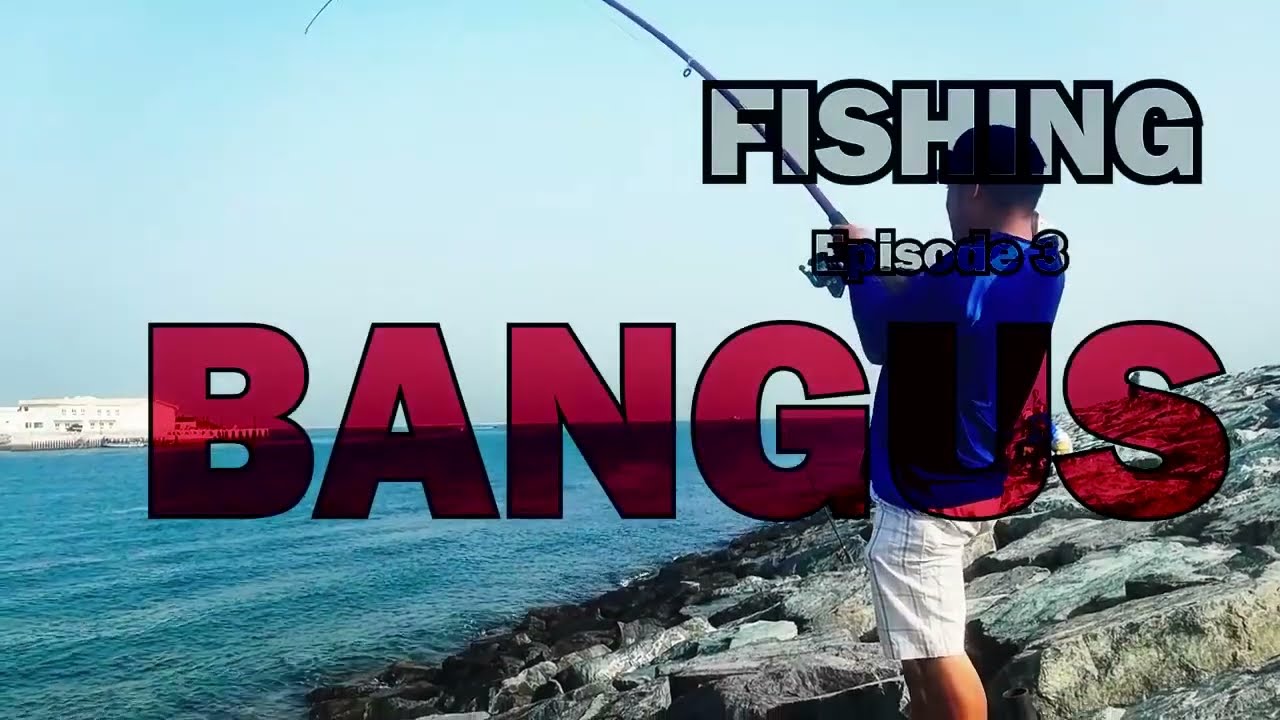 FISHING IN DUBAI CANAL PART 2