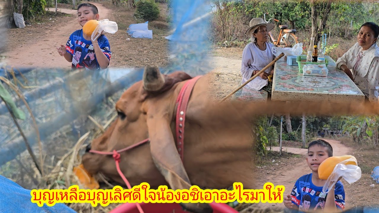 กกกอก เปลี่ยนไปยาย กองพูดถึงเรื่องนี้#ป้าแต๋นชาเเนล 