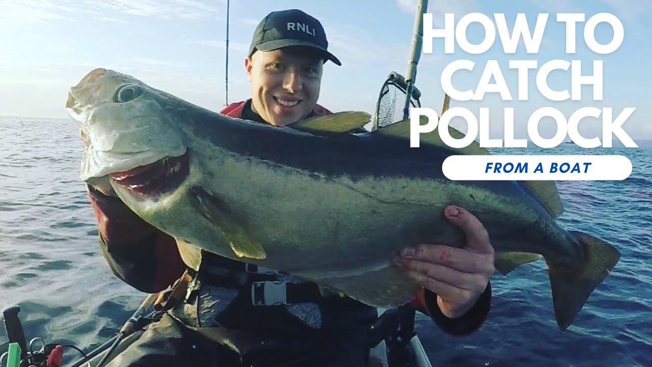 How To Catch POLLOCK From A Boat