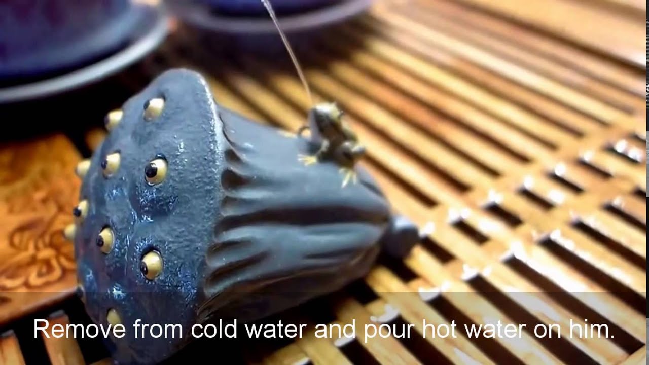Frog on Lotus Pod Squirting Tea Pet