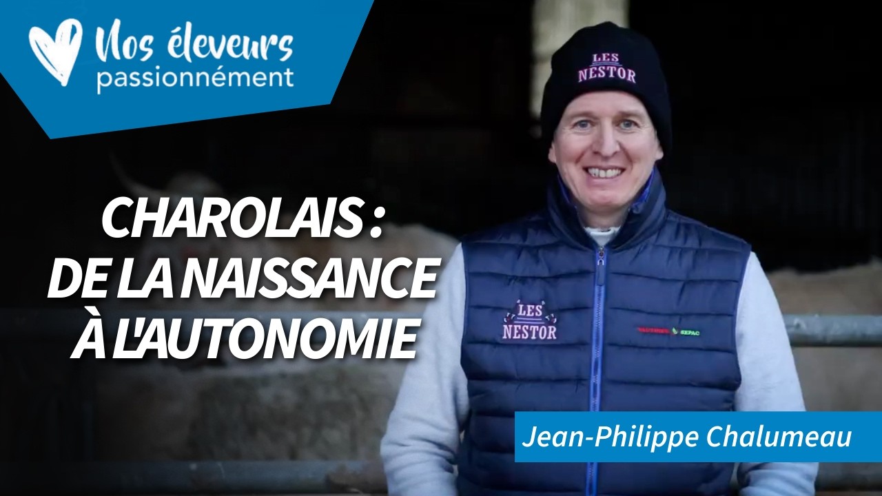 Nos Éleveurs Passionnément - Charolais : de la naissance à l'autonomie