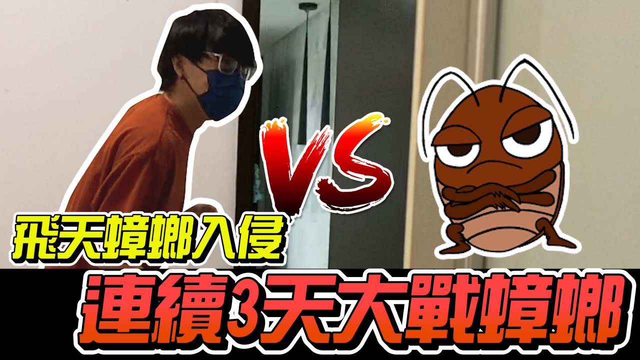 飛天蟑螂入侵！連續三天大戰蟑螂 | Anthony螞蟻