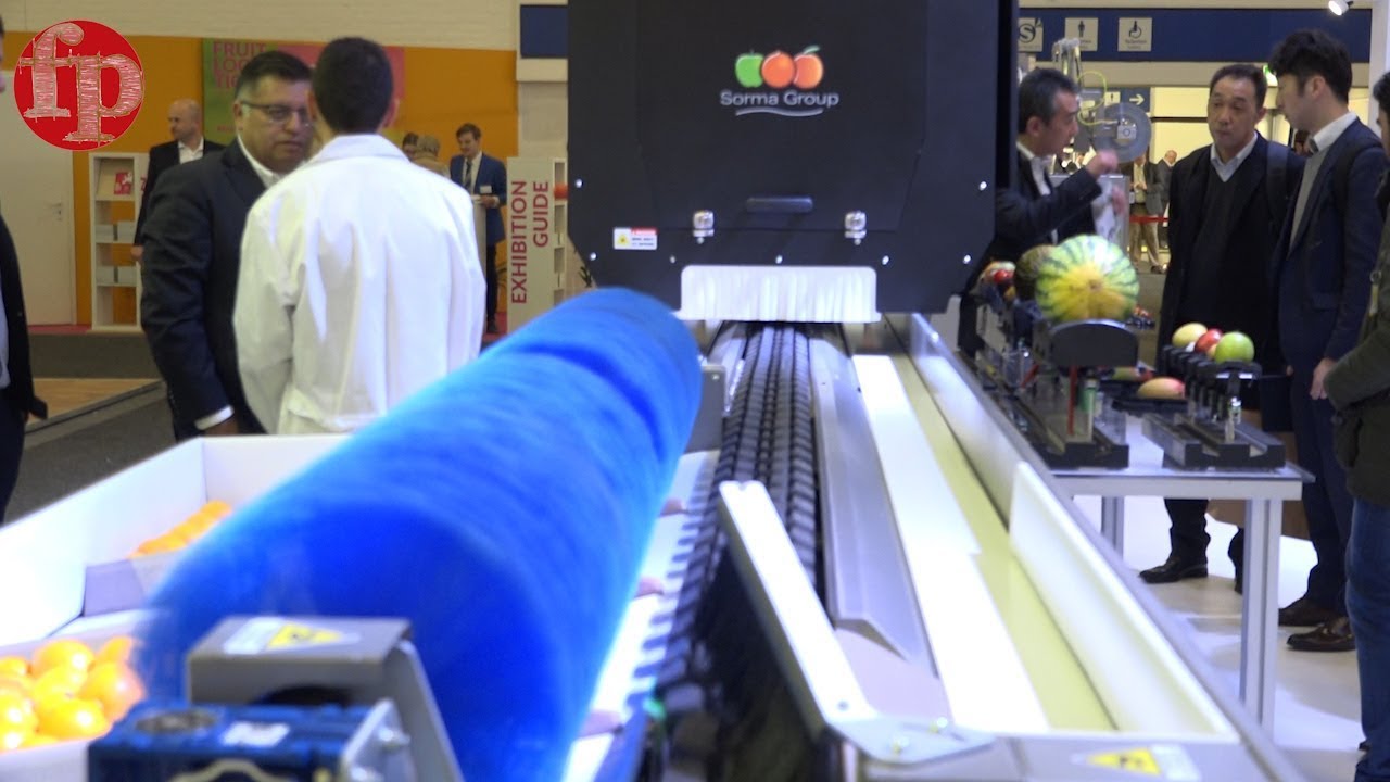 Sorma rivoluziona selezione e confezionamento di ortofrutta
