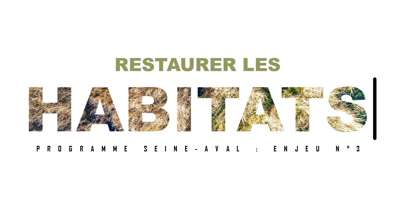 Restaurer les habitats
