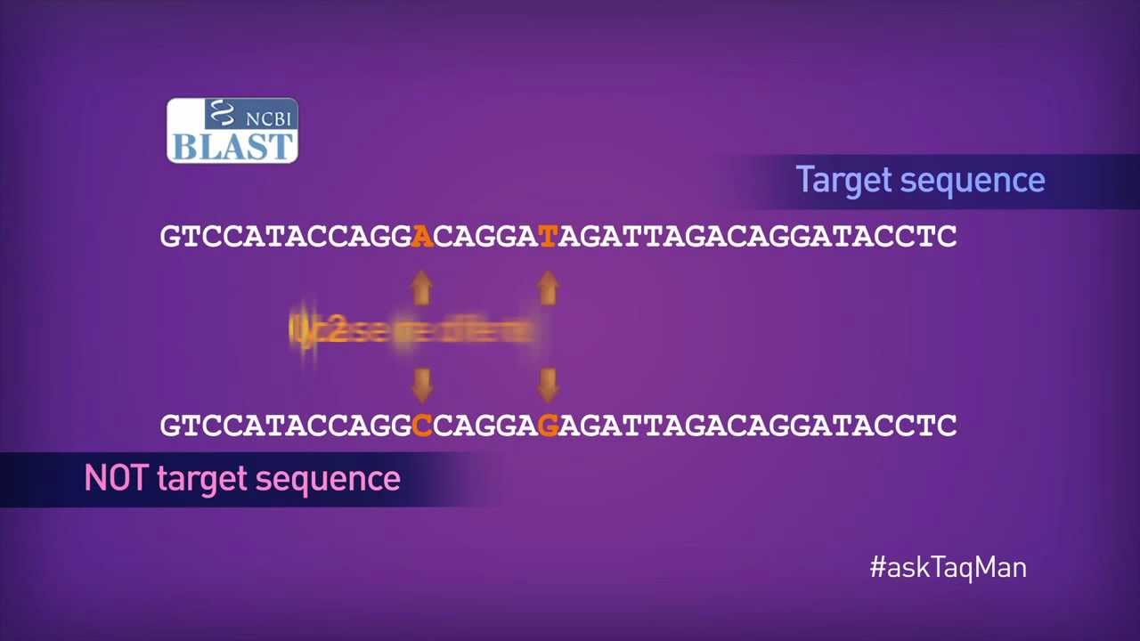 Which Quencher Molecule is Best for TaqMan® Probes in Real-Time PCR? -- Ask TaqMan®: Ep. 3