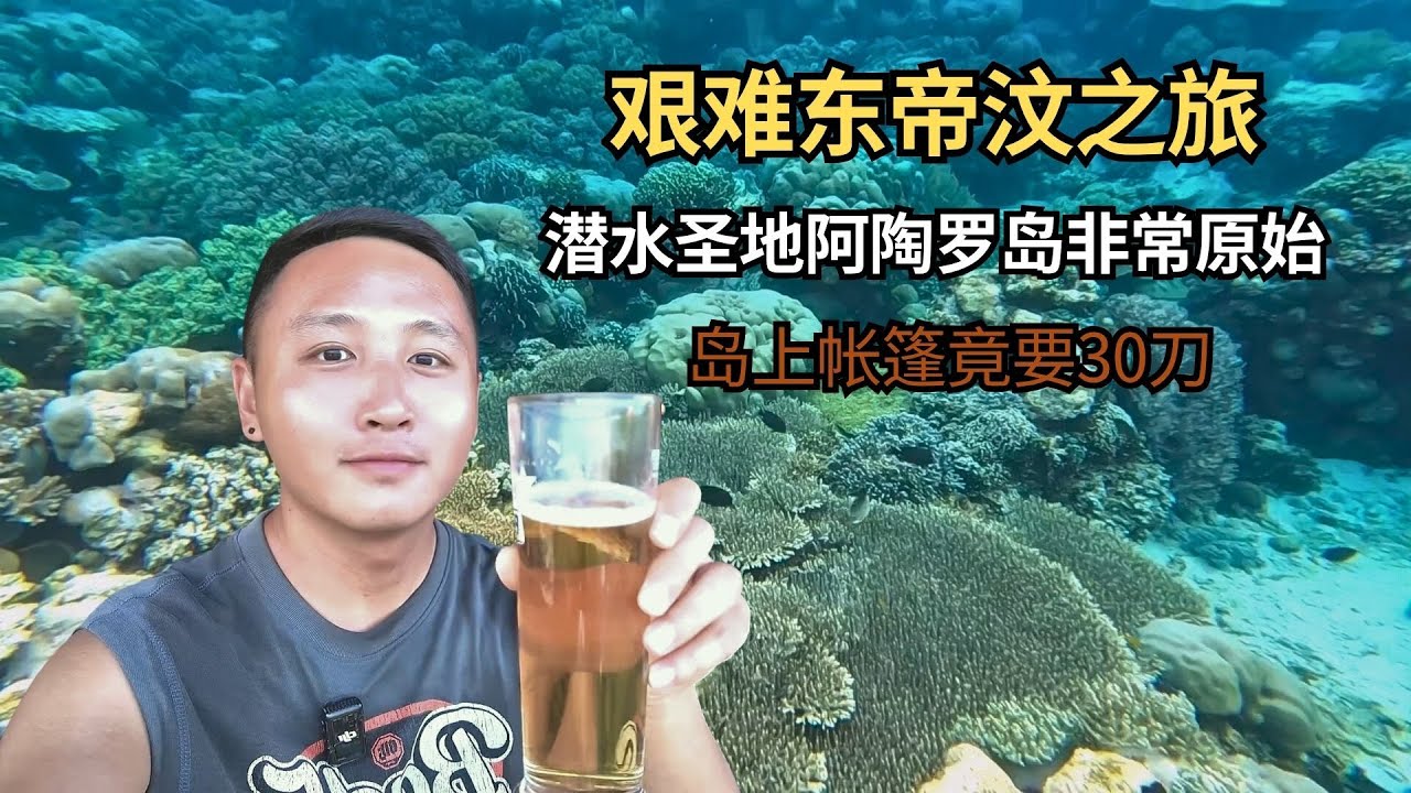 艰难东帝汶之旅，潜水圣地阿陶罗岛非常原始，岛上帐篷竟要30刀 【痒痒看世界】#东帝汶 #阿陶罗岛 #潜水 #旅行vlog