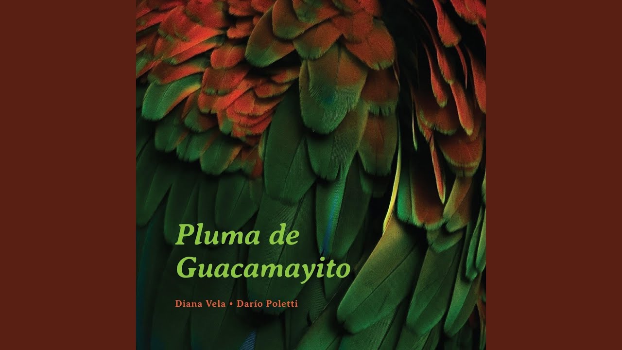 Pluma de Guacamayito