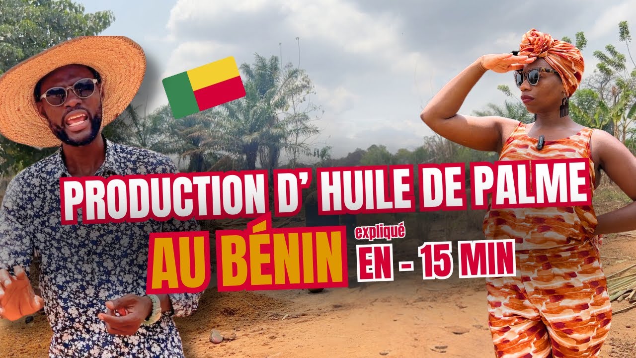 Agriculture en AFRIQUE : l'huile de palme, un Business rentable au Bénin
