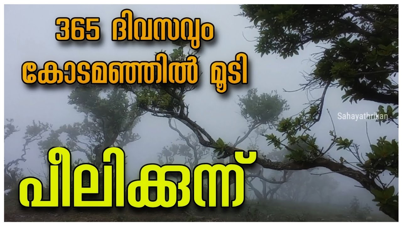 Peelikkunnu View Point | Ammachikottaram | Kuttikkanam Tourist Places | Vagamon Tourism Attractions