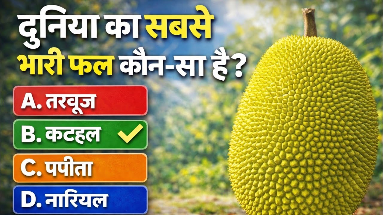 Rajasthan GK Quiz |Most Important Questions |Rajasthan GK 2026 |GK MCQ |Very Important Questions |GK
