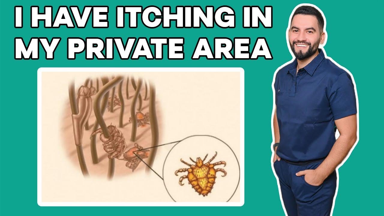 I Have Pubic Lice (Crabs): What That Itchy Feeling Down There Means | Dr. David Campos