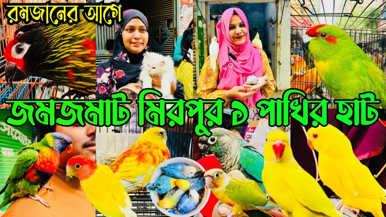 হাট থেকে ছুটে গেল পাখি | রমজানের আগে শেষ হাট জমজমাট।মিরপুর ১ পাখির হাট | Mirpur 1 Pakhir hat
