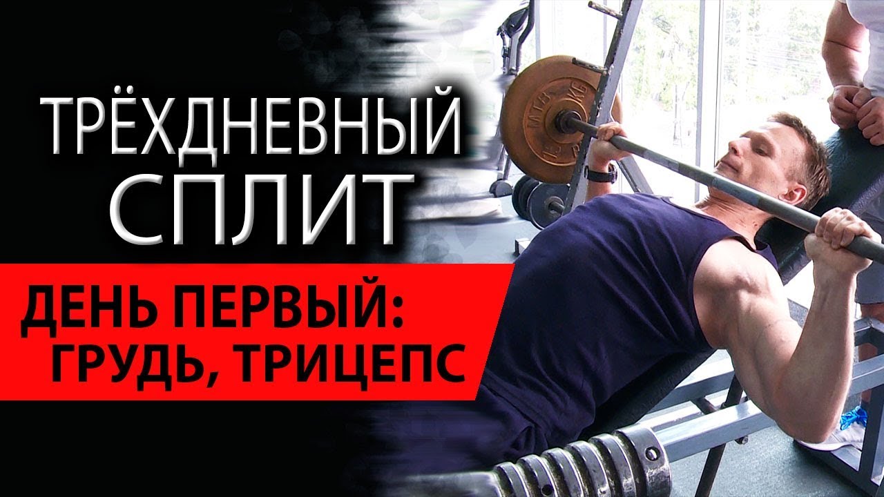 Трехдневный сплит для мужчин. День первый: грудь, трицепс