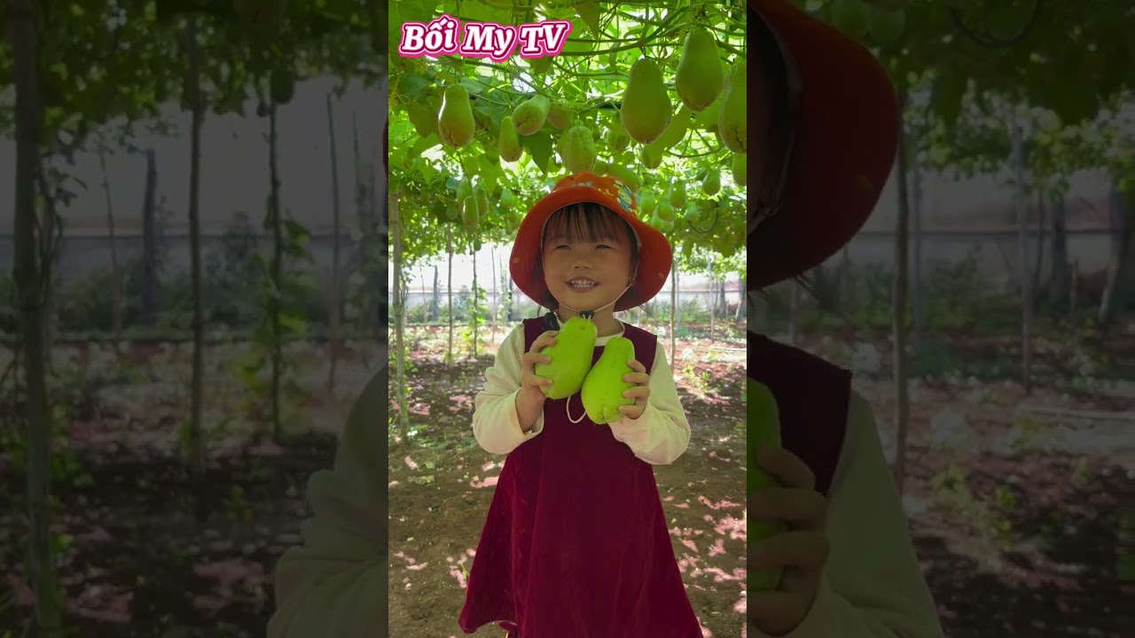 Cưng xỉu: Bối hóa 