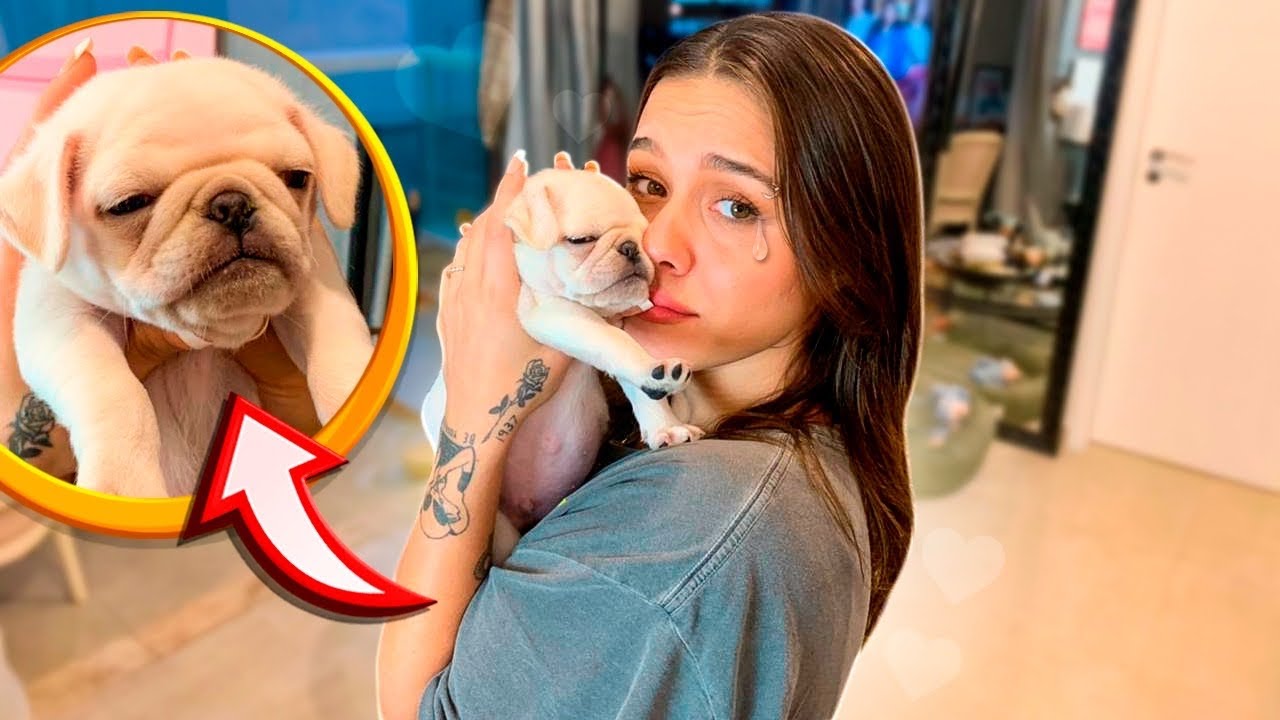 SURPREENDI MINHA NAMORADA DANDO UM CACHORRINHO PRA ELA *nunca vi ela tao emocionada*