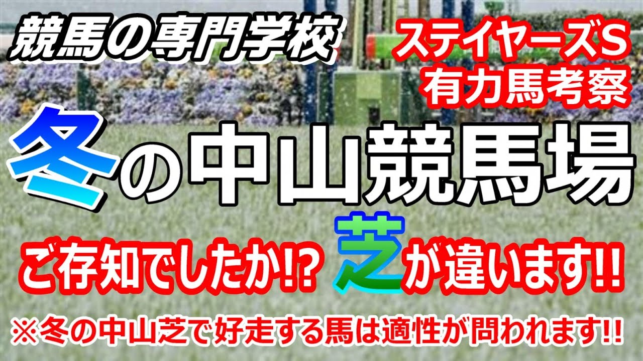 【競馬】冬の中山競馬場 馬券的中のヒントは芝の適性を重視すること【競馬の専門学校】