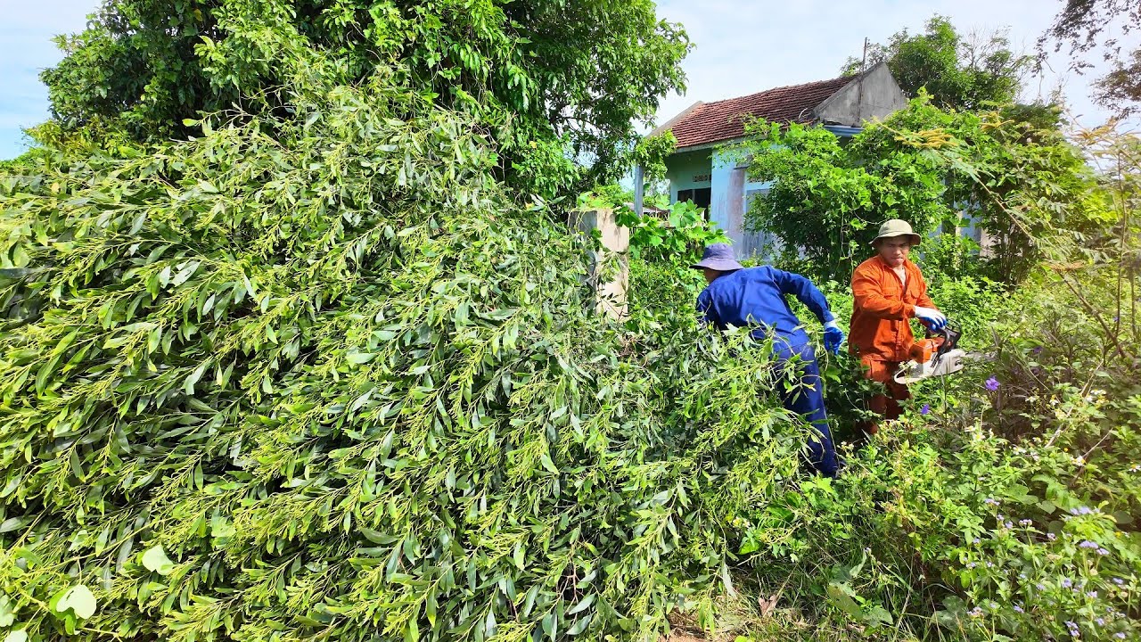 Hồi Sinh Một Ngôi Nhà Cũ Bỏ Hoang 5 Năm, Cỏ Mọc Um Tùm Thoả Mãn Trong 20 Phút