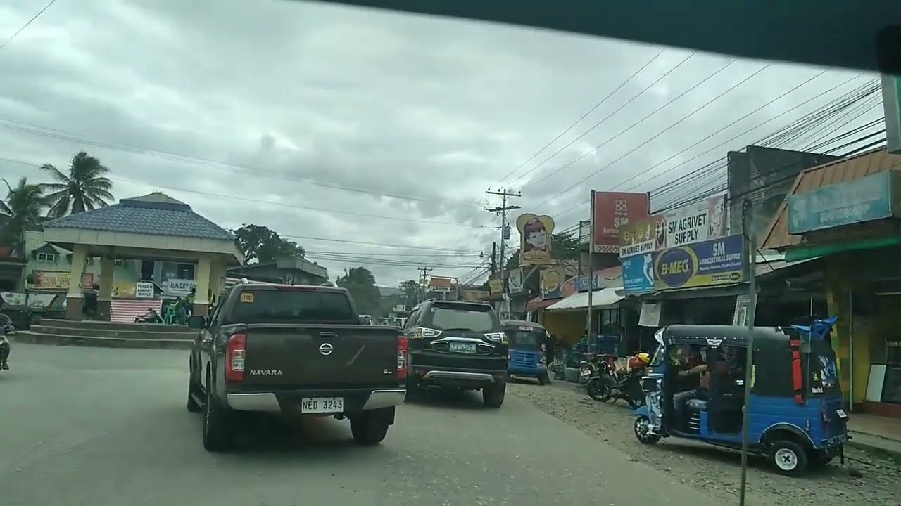 going to market/ manticao market
