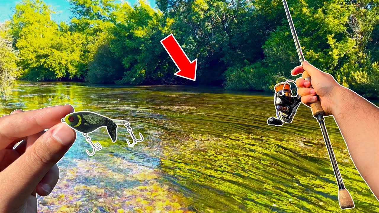 Pêche du Chevesne en ULTRA LIGHT