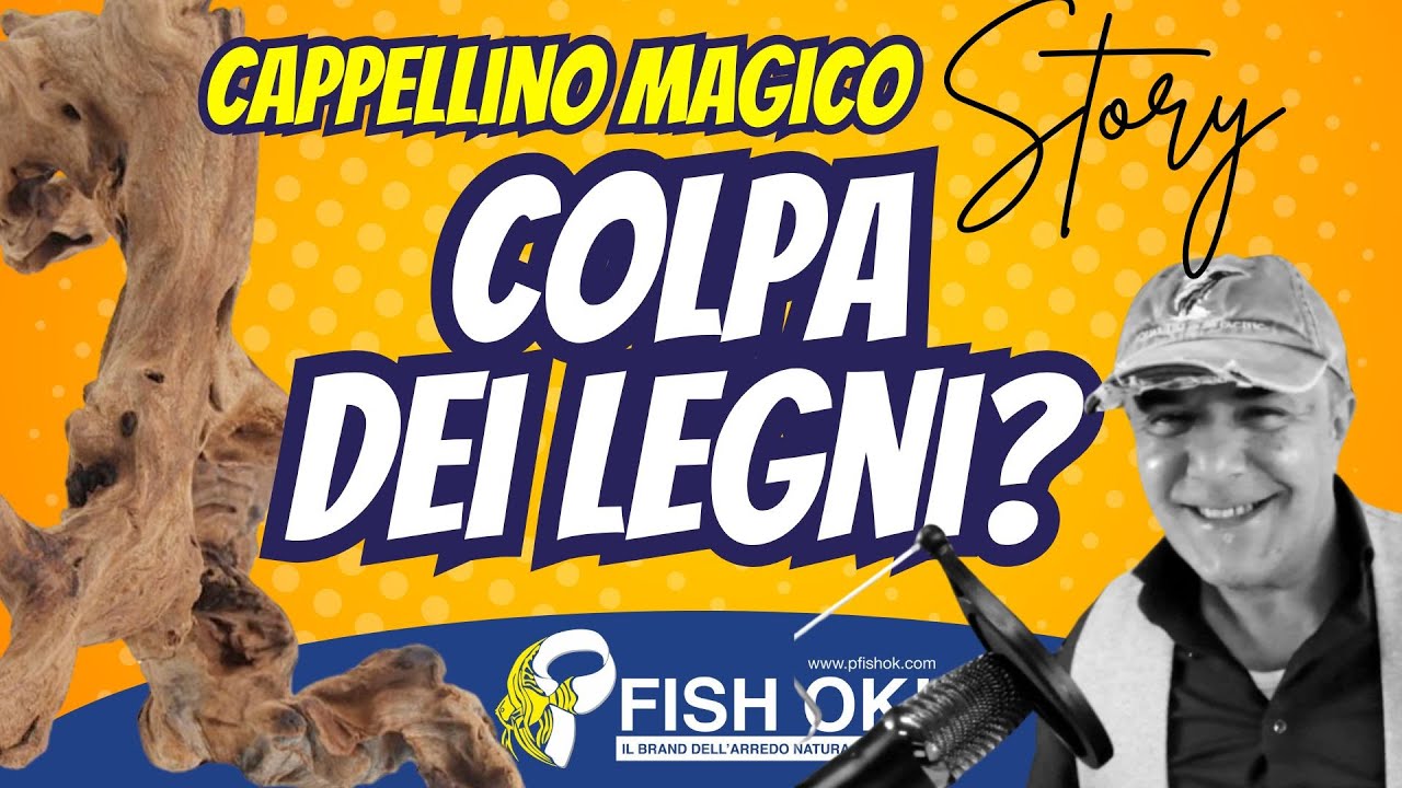 🪵💦 Acqua Ambrata in Acquario: Problema o Vantaggio? | Cappellino magico Story