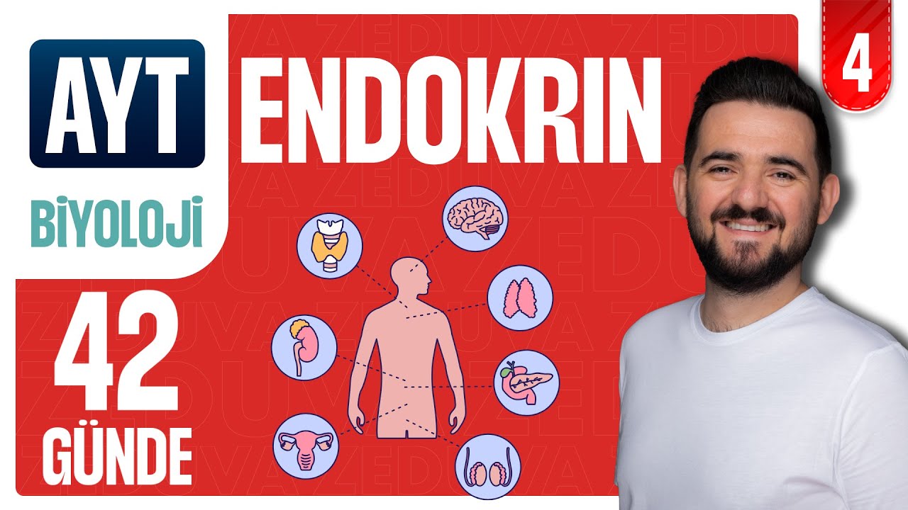 Endokrin Sistem Genel Tekrar Soru Çözümü | 42 GÜNDE AYRINTILI AYT BİYOLOJİ KAMPI 2026-2027 | 4.GÜN