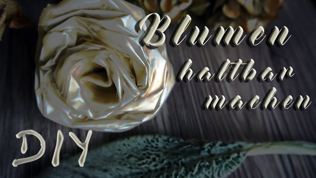 Blumen & Zapfen selber konservieren + Rose(Barock) aus Papier | Easy DIY