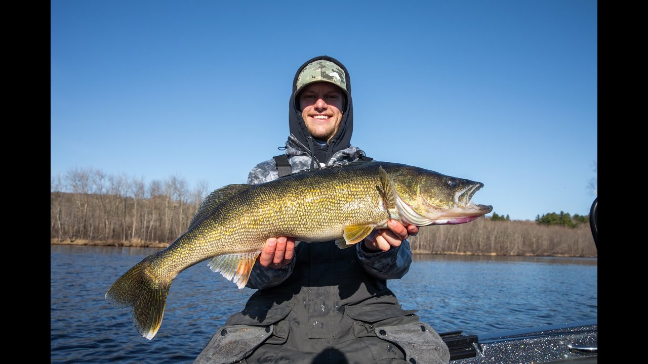 Incredible Walleye Fishing in Duluth, MN!