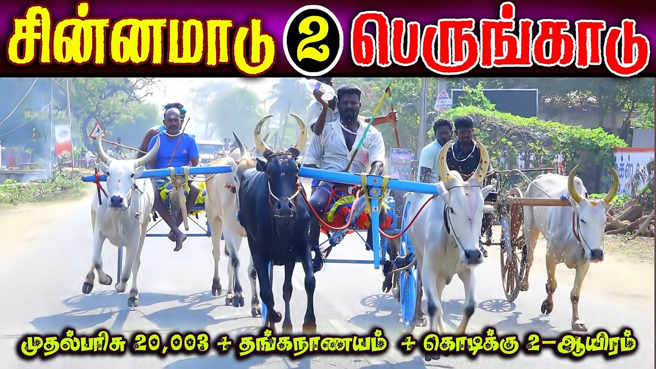பெருங்காடு 2சின்னமாடு பந்தயம் சிறப்பு பரிசு தட்டுவண்டி #perai_raj_digital #reklarace2026