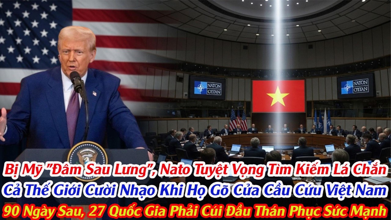 Mỹ Đe Dọa NATO Không Được Mua Vũ Khí Việt Nam Và Đây Là Câu Trả Lời Làm Rung Chuyển Thế Giới.