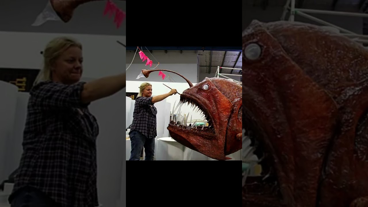 Female Anglerfish can get Huge