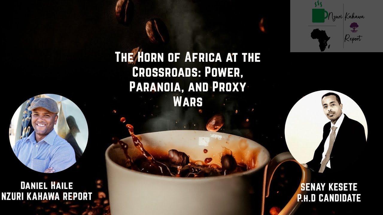 The Horn of Africa at the Crossroads: Power, Paranoia, and Proxy Wars