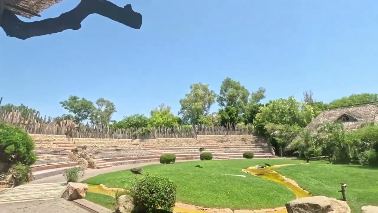 The Bird Show Bioparc Valencia