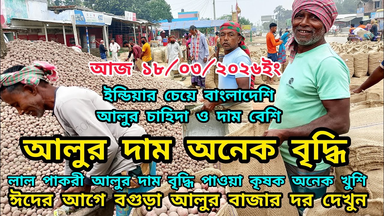 ১৮ মার্চ ২০২৬ইং আলুর দাম বৃদ্ধি পাওয়াই কৃষক এর মধ্যে স্বস্তি| আরও বৃদ্ধি পাবে আলুর দাম #আলুরদাম২০২৬